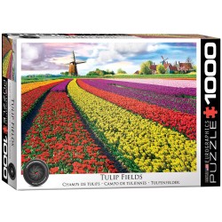Puzzle 1000 pièces : Champ de Tulipes