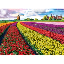 Puzzle 1000 pièces : Champ de Tulipes