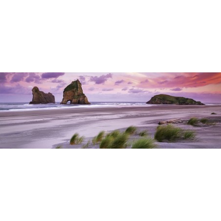 Puzzle 1000 pièces : Panorama - Wharariki Beach